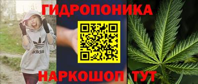хмурый Тара