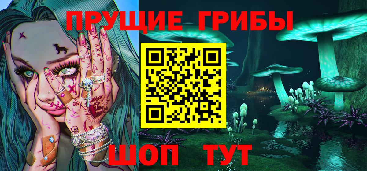 Нижнеудинск  Псилоцибиновые грибы GOLDEN TEACHER  Вход с VPN 