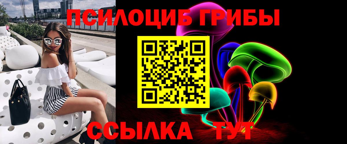 Псилоцибиновые грибы Cubensis Нижнеудинск