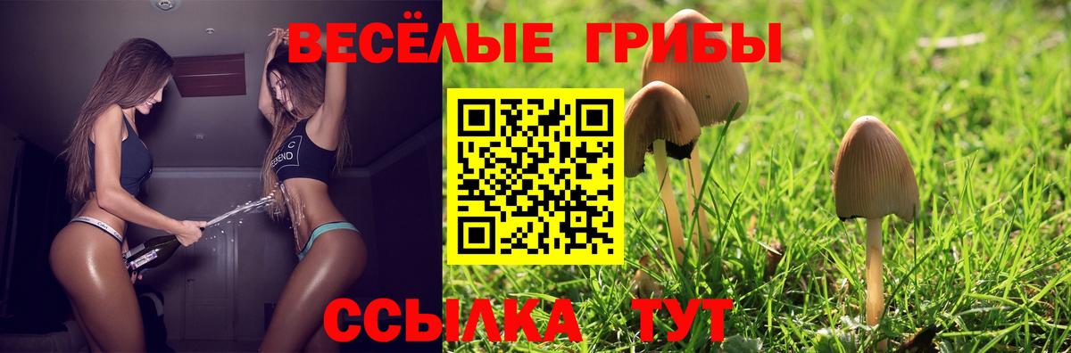 Меф   Вход с VPN  МДМА  Кокаин  Нижнеудинск  Гашиш  Купить наркотики  Конопля  ГАШ 